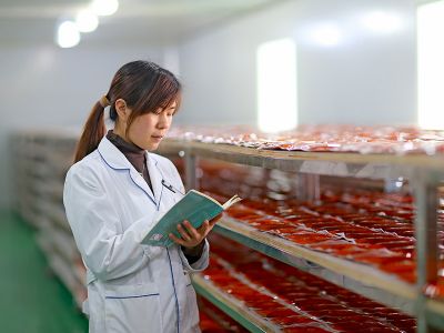 專業(yè)重慶火鍋底料制作團(tuán)隊(duì)
