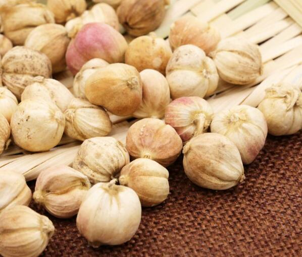 重慶火鍋底料中常見(jiàn)的幾種香料！